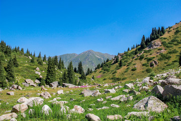 Mountain valley near the Big Almaty Lake – Kazakhstan. Ile-Alatau National Park