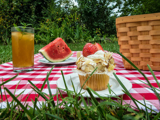 Ant's eye view of picnic spread.