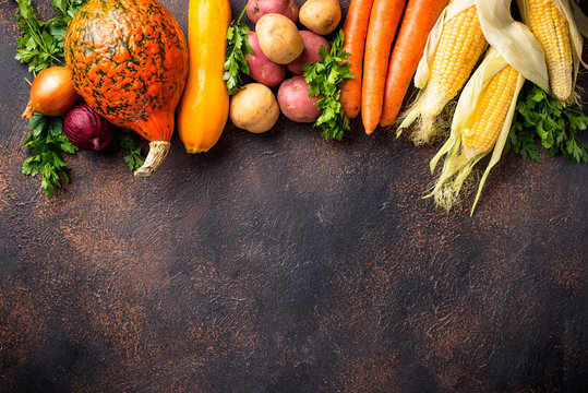 Various autumn vegetables. Harvest concept