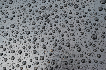 Drops of water on a black surface after rain