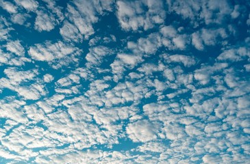 a low angle shot of blue sky with 