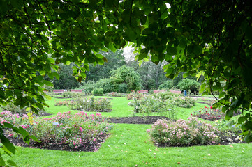 Garden from Oslo