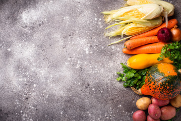 Various autumn vegetables. Harvest concept