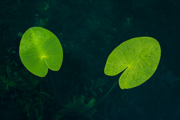 Krakower See, Krakow am See, Mecklenburgische Seenplatte