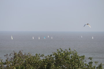 sea and the sailing yacht