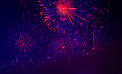 Colorful fireworks in night sky