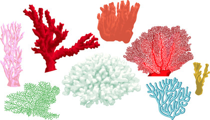 vector set of colorful corals © Save Jungle