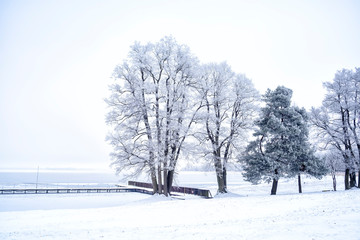 Landschaft im Winter in Masuren