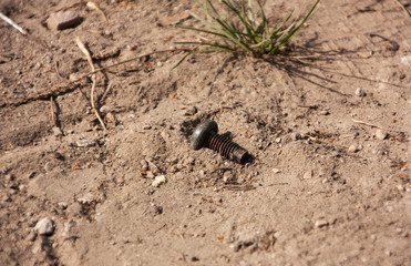 one old black bolt lies in the sand