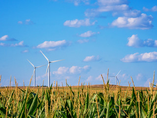 Kansas Corn Field Energy © Jessi