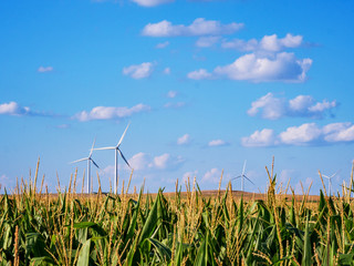 Kansas Corn Field Wind Energy