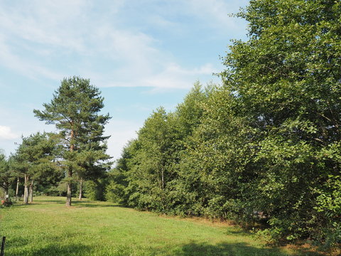 Fasshotel an den Schwarzrinderseen