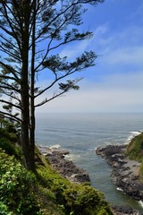 Fototapeta na wymiar Yachats Oregon Pacific Northwest PNW Coast Landscape