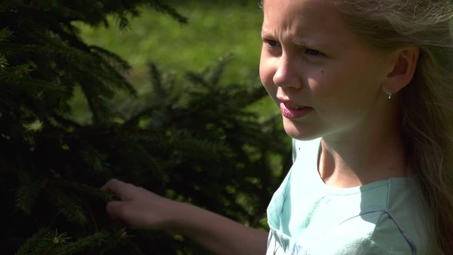 Close-up girl with blond hair peeks out from behind a fluffy green spruce