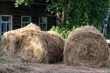 The hay is rolled into a roll