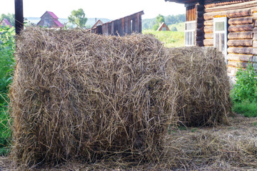 The hay is rolled into a roll