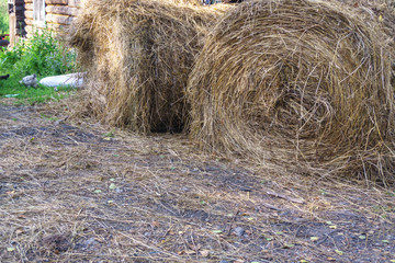 The hay is rolled into a roll