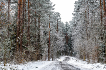 Landschft im Winter in Masuren