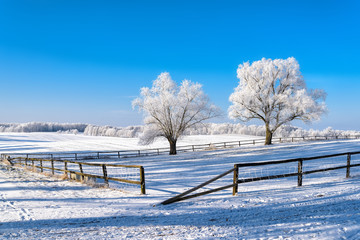 Landschaft im Winter in Masuren
