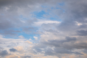 Fototapeta na wymiar White cumulus clouds on a blue sky on a summer evening. Beautiful white clouds with blue sky background. Low clouds