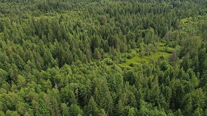 Fototapeta na wymiar Aerial view of small clearance with low shrubs surrounded by mostly coniferous mountain forest. Location under High Tatras mountains, northern Slovakia, central Europe.