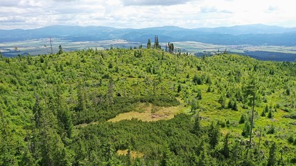Fototapeta na wymiar Aerial view of coniferous forest in High Tatras, Slovakia, during summer season, recovering after disastrous windstorm, agricultural fields in background. 