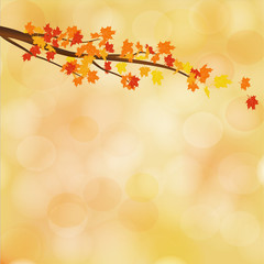 Naklejka na ściany i meble Branch with leaves on a beautiful autumn background