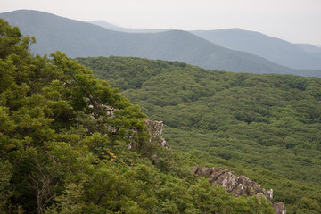 Shenandoah