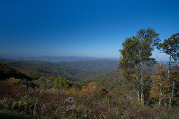 Shenandoah