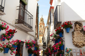Between the streets of Cordoba, the Cathedral