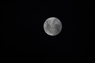 Obraz premium Moon