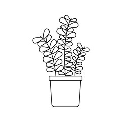 Isolated plant inside pot vector design