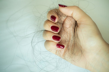 Hair loss, hair fall everyday serious problem,hair loss problem on hand isolated on white...