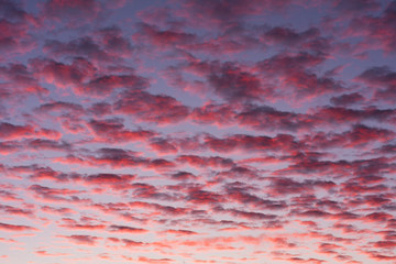 A sky full of magenta clouds at twilight.