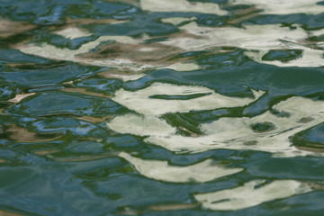 Green, Blue, and White water patterns