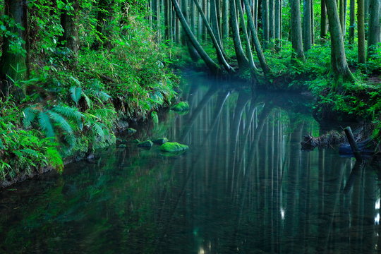 牛渡川 Images Browse 57 Stock Photos Vectors And Video Adobe Stock