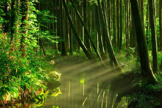 牛渡川 Images Browse 57 Stock Photos Vectors And Video Adobe Stock