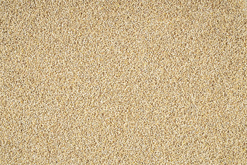Full grain harvest of grain grain buckwheat rice