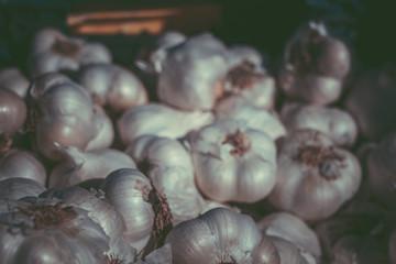 Close Up Of Garlic On Sunday Market