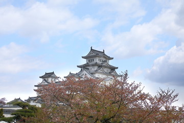 Fototapeta premium 姫路城 