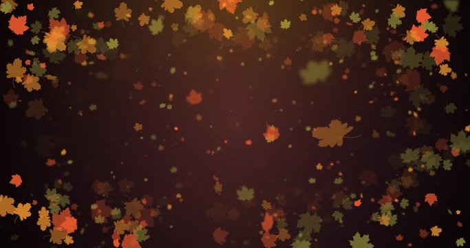 Autumn background. 4K motion graphics background