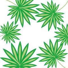 exotic and tropical leafs plants pattern