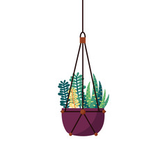 Hanging plant inside pot vector design