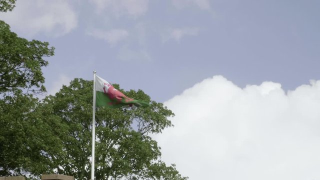 Welsh Flag Blowing In The Wind On Cardiff Castle