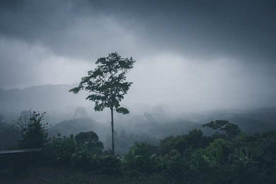 Morning mist and raining at viewpoint Doi Tapang, Chumphon, Thailand.