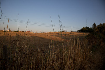 Fototapeta premium Untitled, Unamed, Unmarked, Unlabeled Photo. Only # VI