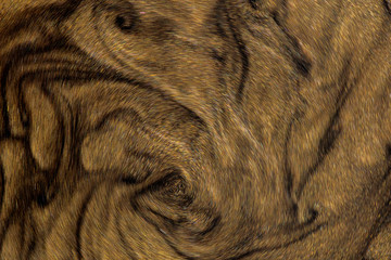 Golden glitter dust on dark background. © Saichol