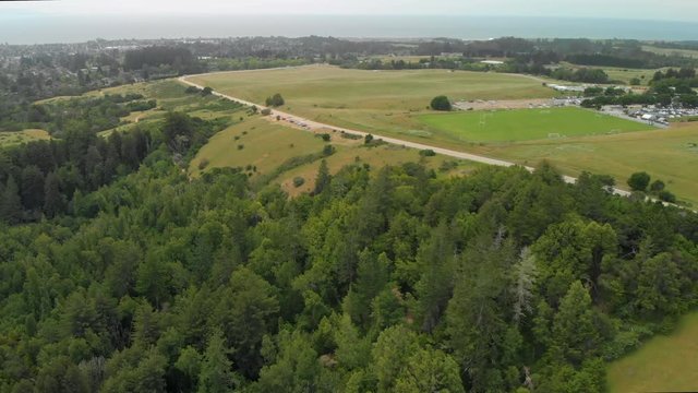 Aerial Dolly Forward of Green Hills and Trees Near Ocean