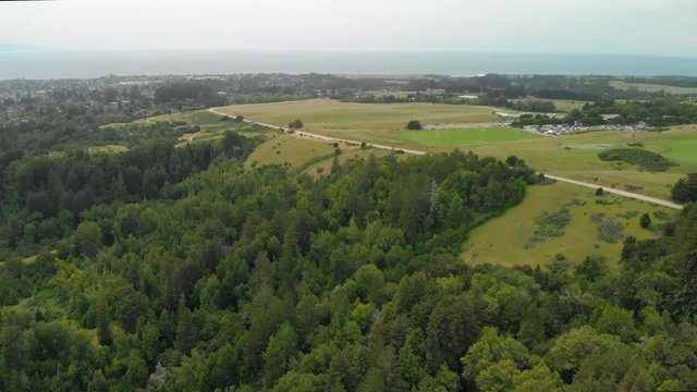 Aerial Dolly Forward of Green Hills and Trees Near Ocean