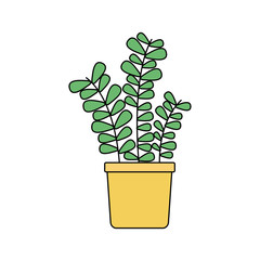Isolated plant inside pot vector design